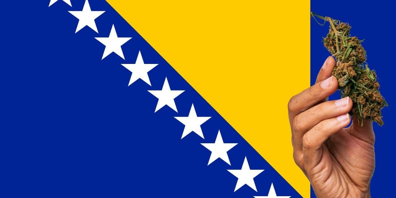 Bosnia and Herzegovina flag with marijuana in front of it