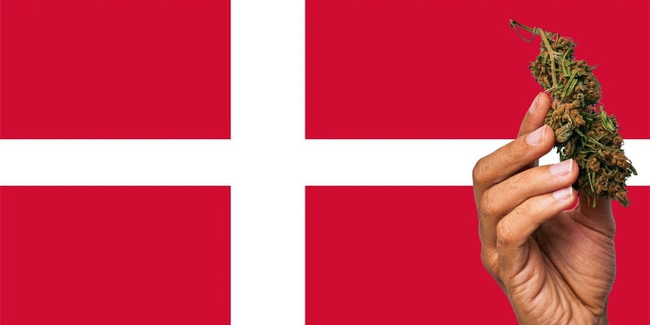 Denmark flag with a hand holding a marijuana infront of it