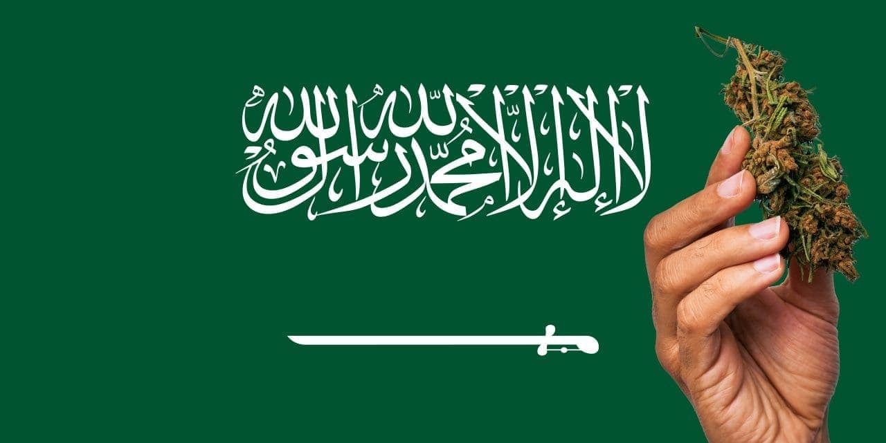 Saudi Arabian flag with cannabis in front.